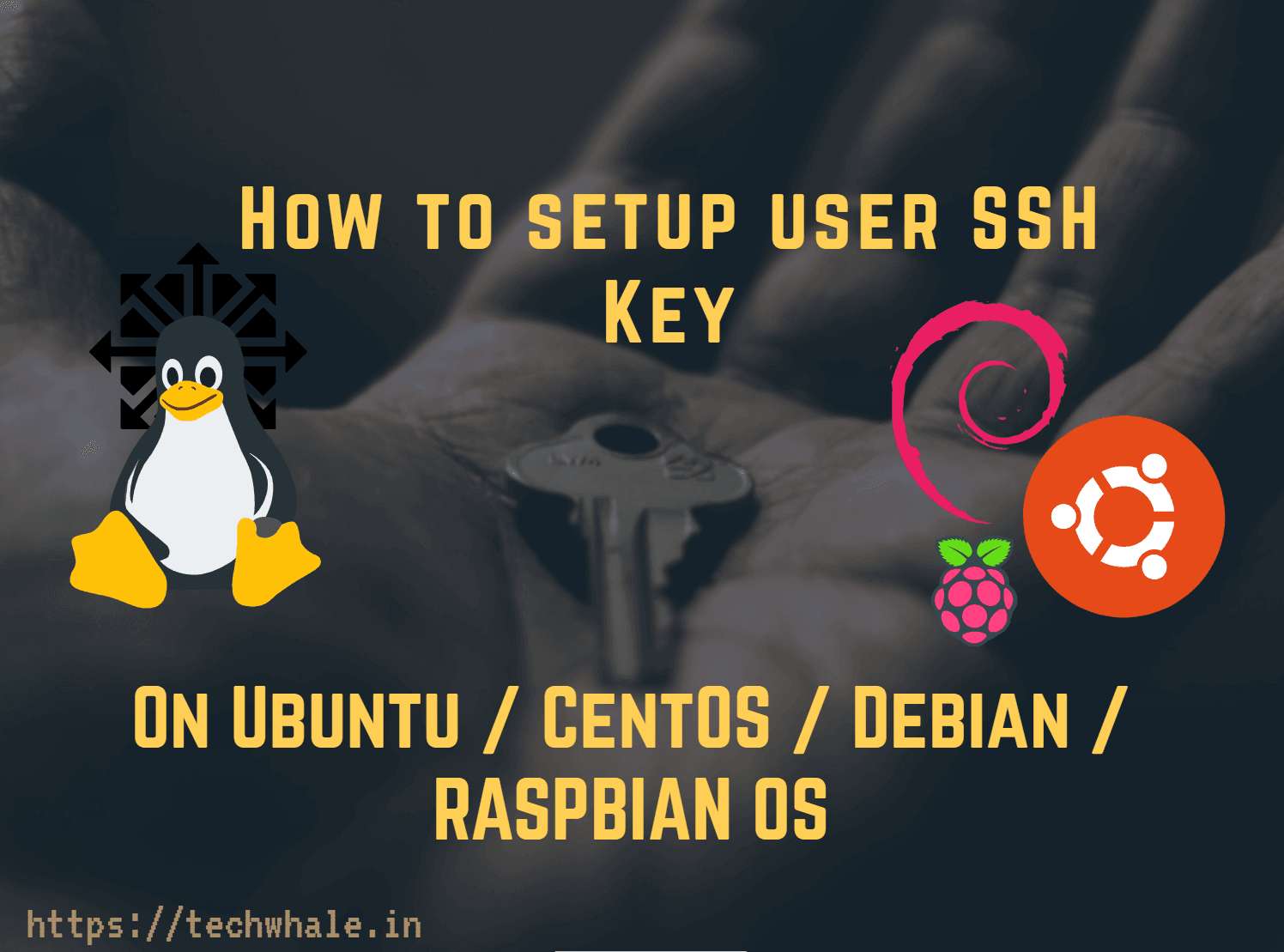 setup ssh keys on linux